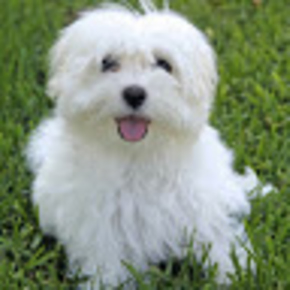 Meet your Posher, J - Picture 1 of 1